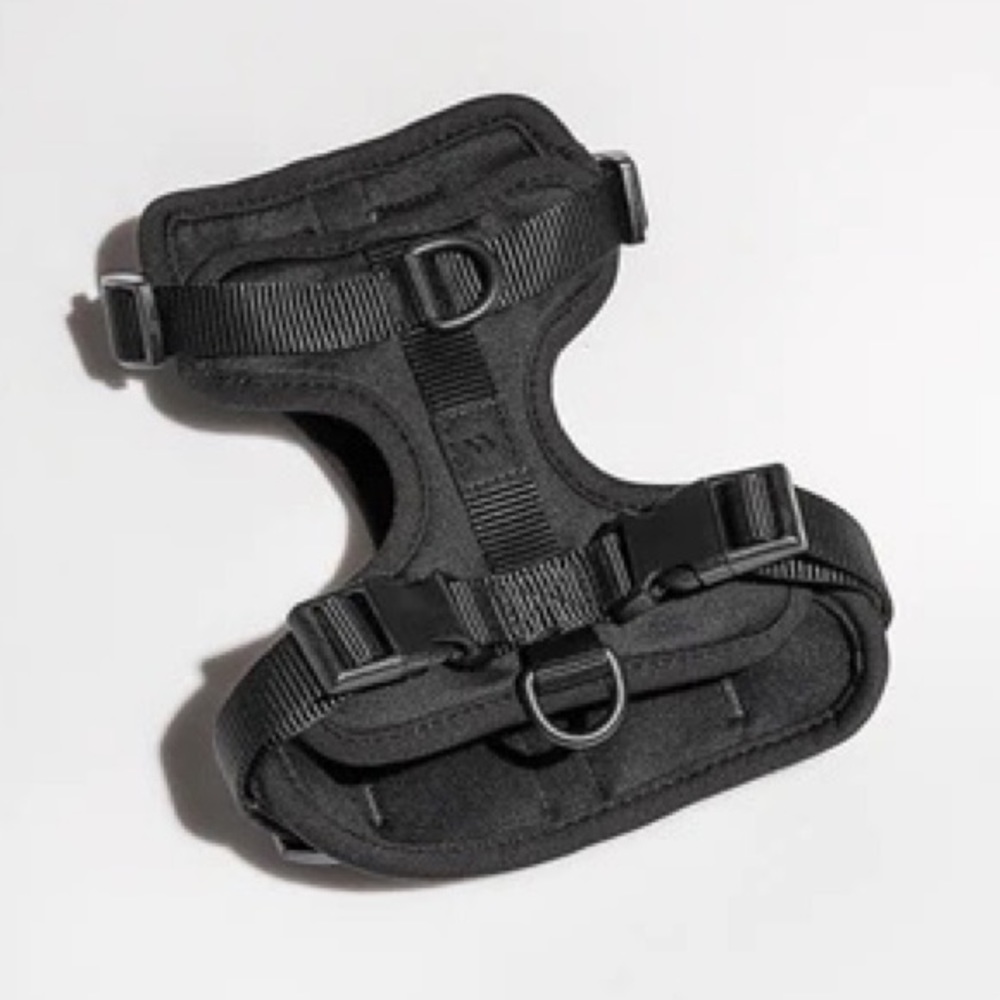 NWT Wild One Black Dog Harness
